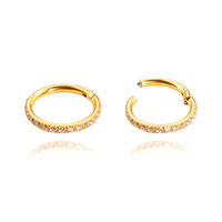 Perhiasan Tubuh Titanium G23 Batu CZ Cincin Hidung Clicker Puting Telinga Spiral Anting Bibir
