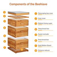 Neuer Bienenstock aus chinesischem Tannenholz mit 10 Standardrahmen, wachsbeschichtet, wasserdicht, für die Imkerei von BF BEE