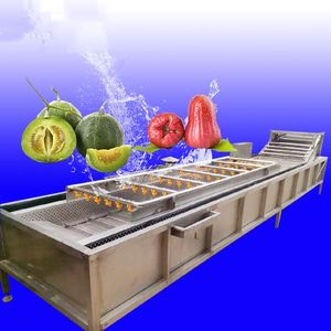 Nettoyant électrique pour machine à laver les olives et pommes avec moteur de brosse pour fruits et légumes frais comme composant principal - Product Image 6