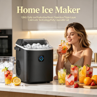 Machine à glaçons électrique compacte pour usage domestique, idéale pour les boissons