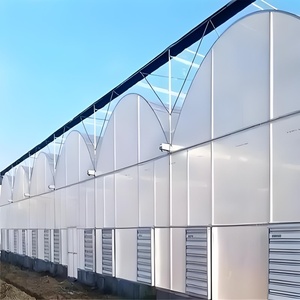 Hot Selling Multi-Span Landwirtschaft liches Gewächshaus PE Kunststoff Tertilien Gewächshaus für Tomaten Obst/Gemüse Pflanzen Aluminium rahmen - Product Image 3