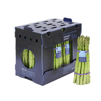Boîte en polypropylène ondulé haute densité de qualité supérieure pour l'emballage des légumes et des fruits, avec taille et forme personnalisées