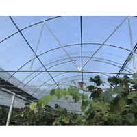Poulailler commercial, serre en métal, serres agricoles, tunnel multi-voûtes, serre à tomates