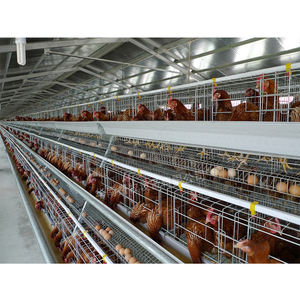 Nouveau design Poulailler poulailler poulailler ferme de vache poulaillers Run Poulailler pour vos animaux de compagnie bien-aimés en plein air Volaille Cage poulailler - Product Image 6