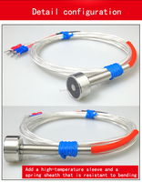 Sonde de température Pt100 à adsorption magnétique, tête de détection de surface, type patch d'aspiration, OEM, indice de protection IP68, garantie 1 an
