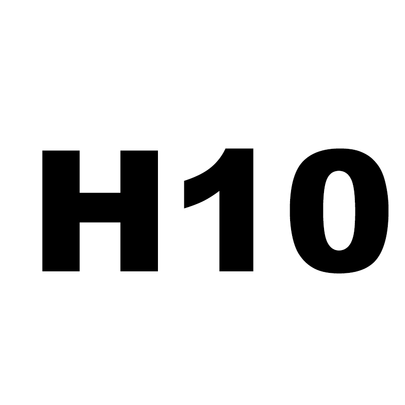 H10