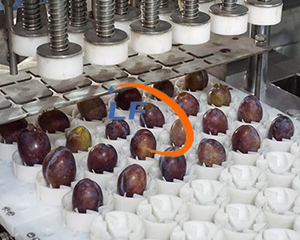 เครื่องเจาะรูแกนเชอร์รี่ลิ้นจี่สำหรับอุตสาหกรรมที่มีประสิทธิภาพสูงมี304สแตนเลสแบริ่งมอเตอร์ความจุ37800ชิ้น/ชม. - Product Image 3