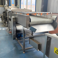 Industriële elektrische grote capaciteit automatische fruit-, groente-, gember- en cassave-was- en schilmachine