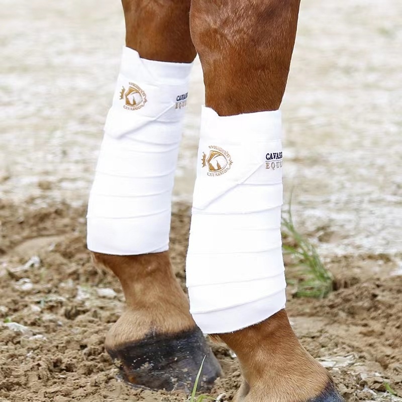 Horse Leg Protectors Equestrian Riding Chaps