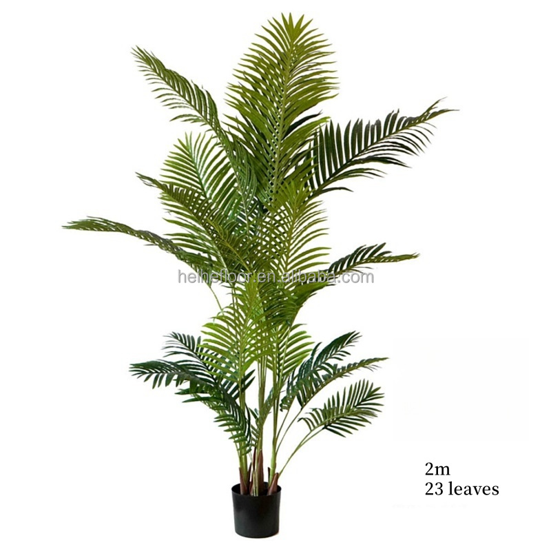 200cm(78.74in)