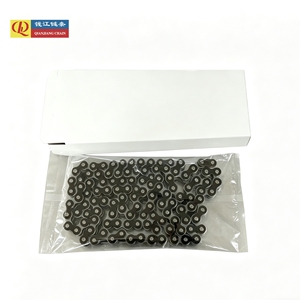 Cadenas de Bicicleta y Motocicleta Negras de Alta Calidad <span class=keywords><strong>520</strong></span> de <span class=keywords><strong>118</strong></span> Eslabones, Directo de Fábrica QJ - Product Image 1