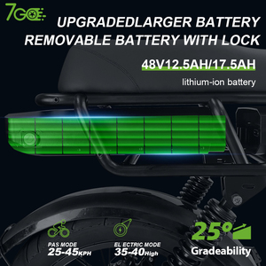 250W 48V 铝合金电动自行车 20 英寸液压盘式刹车 胖胎 7 速变速器 锂电池 EB8 型号 - Product Image 6