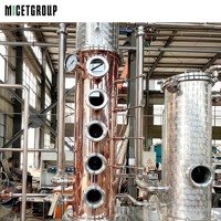 Alambic en cuivre personnalisé de 600 L, colonne de distillation, machine multifonctionnelle pour boissons et vin, pour gin, whisky, brandy, vodka