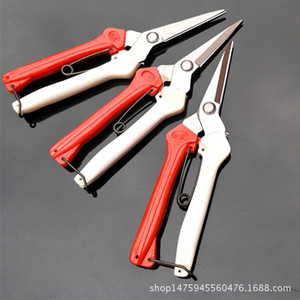 Sécateur Taiwan Mountain Wisteria en acier inoxydable, tête droite, lame de 60 mm, poignée rouge et blanche, diamètre de coupe 10-20 mm - Product Image 2