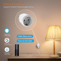 Prise intelligente Haozee Zigbee 3680W 16A avec surveillance de la consommation d'énergie, minuterie, prise EU, compatible Home Assistant Zigbee2mqtt