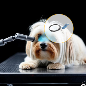 Module de caméra endoscopique vétérinaire SincereFull SF-C50USB-D1.6 1,6 mm 2MP OCHFA10 USB2.0 avec garantie de 10 ans pour petits animaux - Product Image 2