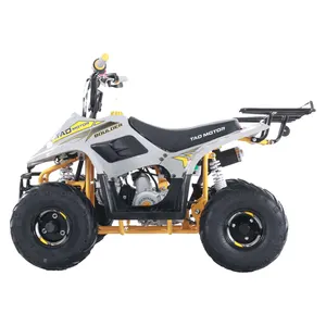 Tao Motor New Design Kids ATVs 110cc ATV for Sale