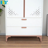 Armoire de rangement moderne en acier avec tringle de suspension, penderie métallique imprimée, idéale pour les maisons, appartements ou hôtels.