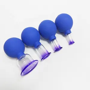Essentials Original Glass Face and Body Cupping Set Blue/Pink 4 Cups