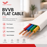 BVVB Flaches PVC-Gebäudekabel 1-30mm² Kupferleiter Kabel 300/500V 450/750V für Oberflächenverlegung