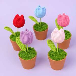 Macetas de Flores Tejidas a Crochet Hechas a Mano Creativas 2024 para Graduación, Decoración Floral, Regalo para Amigos - Product Image 1