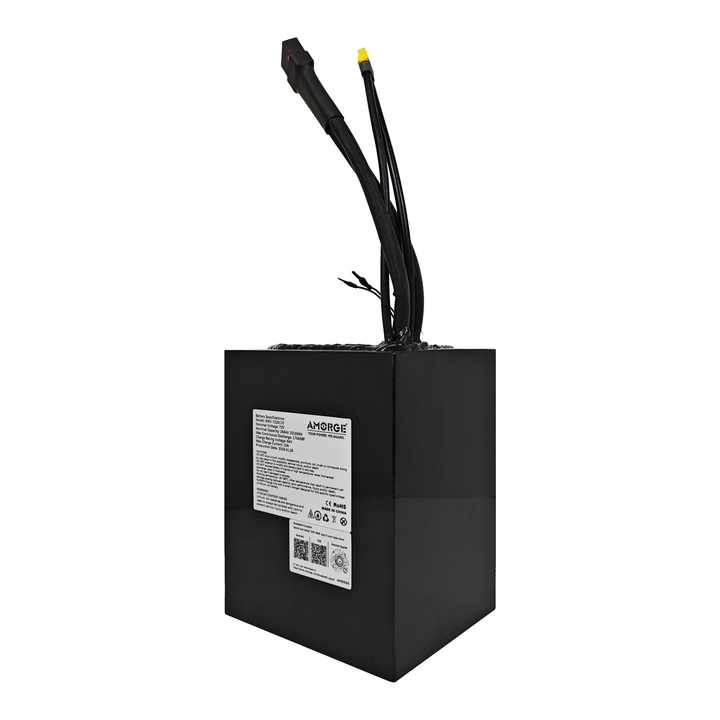 AMORGE 72V 28AH 170AMP Lithium Battery Pack With ANT Bluetooth BMS