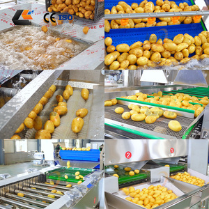 Ligne de production de brosses de lavage pour choux, nettoyeur d'avocats, trieuse d'oignons, laveuse de fruits de la passion et de carottes bébé - Prix usine - Product Image 3