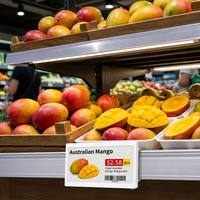 LEEKA Fabricante de ESL, Etiqueta Electrónica de Precio Digital con Pantalla de Tinta Electrónica de 7.5 Pulgadas, Inalámbrica, WiFi, para Supermercados y Tiendas Minoristas