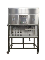 Machine de remplissage et de bouchage de bière électrique semi-automatique contrôlée par PLC pour bouteilles en verre/métal