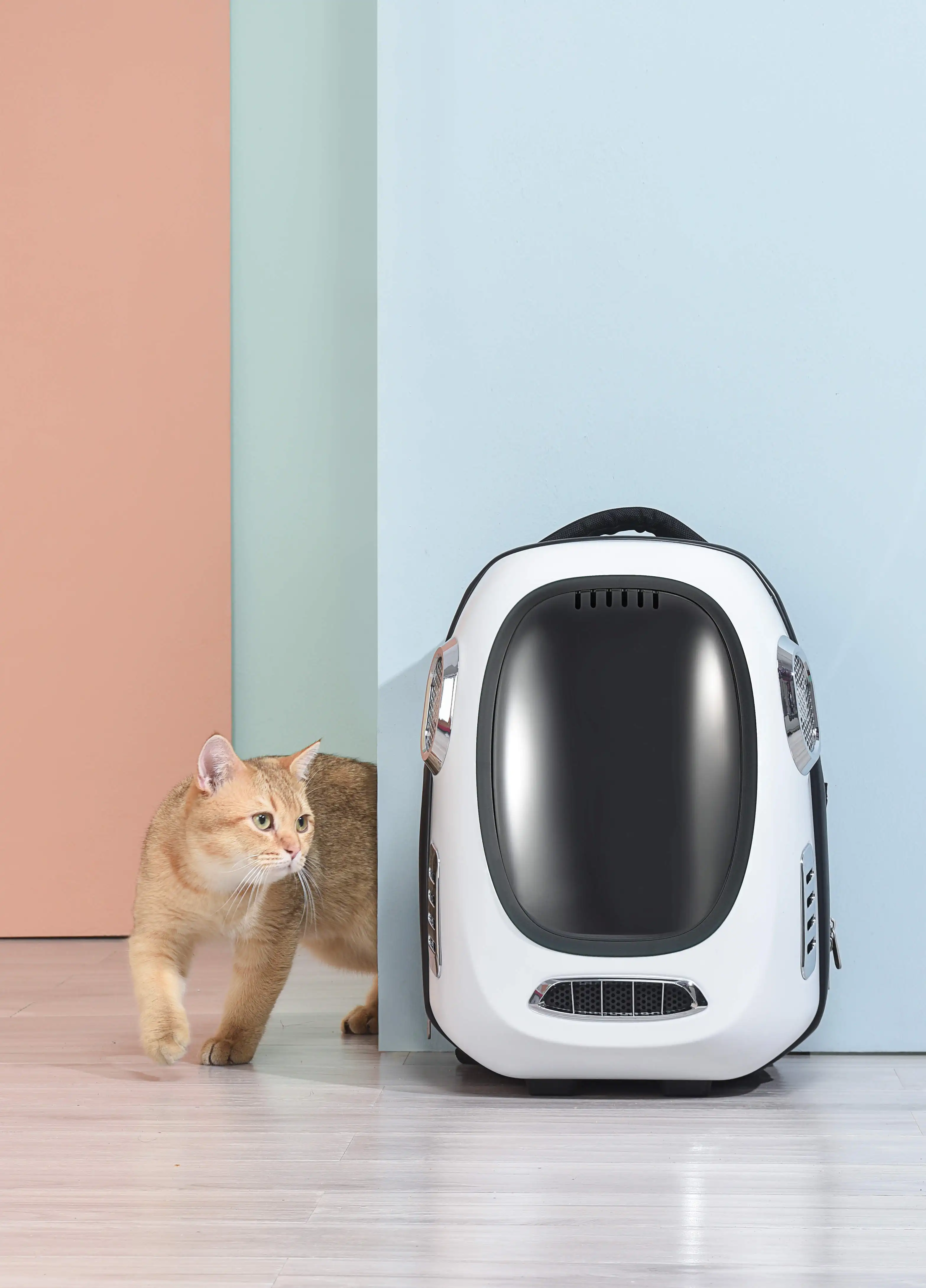 Neue Mode Haustier Hund Katze Trage-Recksack durchsichtig Außentasche atmungsaktiv intelligenter Haustier-Recksack
