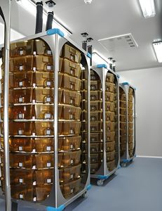 Arredamento e Attrezzature da Laboratorio con Sistema di Ventilazione Centrale <span class=keywords><strong>EVC</strong></span> - per Topi. - Product Image 2