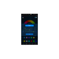Contrôleur pour LED Neon Flex SPI WS2811 Pixel RGBIC adressable par téléphone et télécommande avec batterie