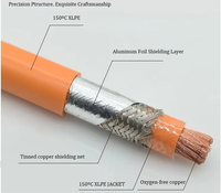 EV 1500V Ladekabel Flexibles Stromkabel 25 35 50 70mm2 XLPE-Isolierung Automobilkabel für Neue Energiefahrzeuge mit Abschirmung
