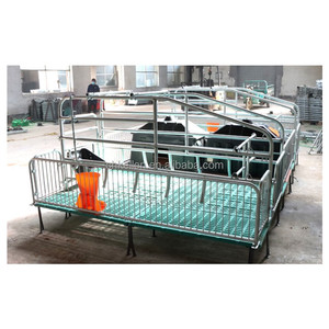 Jaula <span class=keywords><strong>de</strong></span> diseño único para conejillos <span class=keywords><strong>de</strong></span> indias, portabebés <span class=keywords><strong>de</strong></span> maternidad grande - Product Image 2