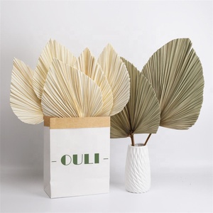 Z3467 Entrega Rápida, Hojas Secas Artificiales Decorativas, Hojas de <span class=keywords><strong>Palma</strong></span> Preservadas para Decoración de Escenarios - Product Image 6
