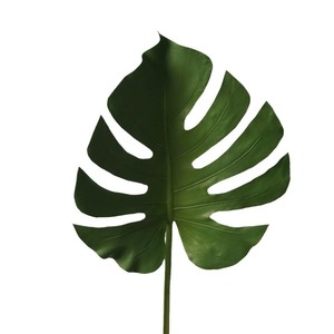 Pianta artificiale di Monstera con foglia finta tartaruga <span class=keywords><strong>e</strong></span> Pawl finto albero <span class=keywords><strong>e</strong></span> palma <span class=keywords><strong>per</strong></span> arredamento interno - Product Image 3