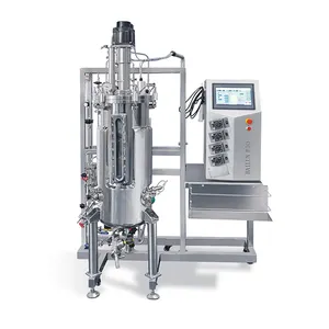 Chi Phí Của 7 Bbl Brewhouse Và Fermenters Mô Hình Giảm Cân Bioreactor Tảo Giấm Bể Acetator