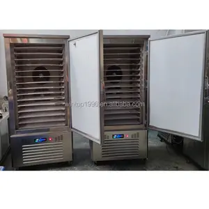 डबल दरवाजा तेजी से ठंड रेफ्रिजरेटर 22 धूपदान विस्फोट फ्रीजर मांस मछली संरक्षण विस्फोट चिलर के लिए इस्तेमाल किया