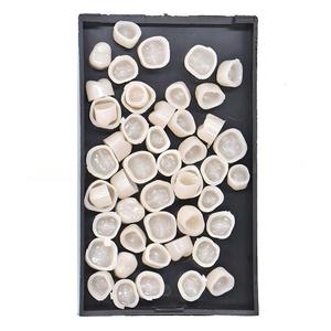 Kit de couronnes dentaires temporaires, couronnes en résine pour dents antérieures et postérieures, pour usage clinique - Product Image 5