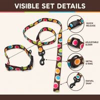 Ensemble collier et laisse pour animaux de compagnie en polyester enduit de PVC, taille personnalisée, logo et emballage, pour programmes d'accessoires de promenade – Fournisseur direct usine