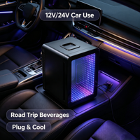 Mini-réfrigérateur électrique 15L avec porte miroir LED, refroidissement et chauffage, pour bière, lait, boissons, cosmétiques, portable, usage domestique, camping-car, hôtel, faible consommation