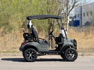 Carrito de Golf Todoterreno con Batería Potente y Conducción Suave - Product Image 6