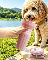 Bouteille d'eau portable pour animaux de compagnie en silicone imperméable pour l'extérieur, bol à eau pliable à motif solide pour chiens et chats