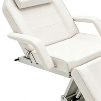 Lit de beauté électrique portable de luxe avec fauteuil de massage confortable et lit facial très demandé pour usage domestique
