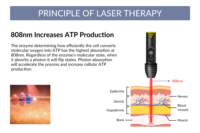 Stylo d'acupuncture laser froid infrarouge de qualité clinique LLLT pour les douleurs dorsales, les douleurs aux épaules et la fibromyalgie