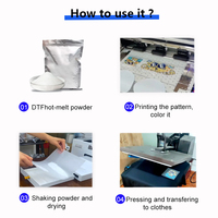 Hongcai 500 G/sac blanc DTF poudre thermofusible PU adhésif usine vente en gros adhésif thermofusible DTF imprimante poudre thermofusible