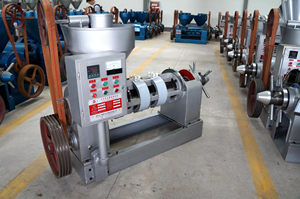 Machine de production d'<span class=keywords><strong>huile</strong></span> comestible par pressage à froid et à chaud YZYX10(95)WK, capacité 150 kg/h, pour <span class=keywords><strong>huile</strong></span> d'arachide, de tournesol, de lin et de noix de coco - Product Image 4