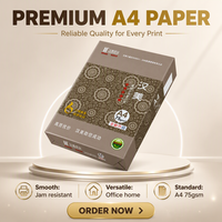 Papier copie économique A4 75 g/m² blanc de qualité supérieure, qualité standard, directement de l'usine