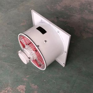 พัดลมระบายความร้อนสำหรับติดผนังแข็งแรงทนทาน300/400พัดลมระบายความร้อนกันระเบิด - Product Image 2