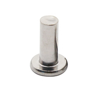 Rivets plats en acier inoxydable A2-70 M6 M8 - Fixations durables et résistantes